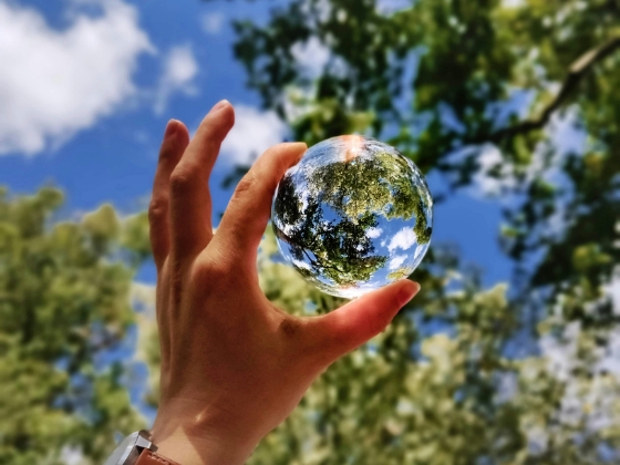 Trees and sky seen through a glass ball